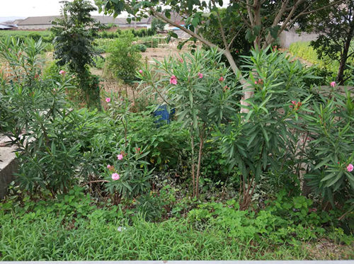 浙江一老汉为找工作误入高速 快车道竟逆行半