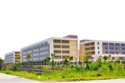 浙江龙湾:落脚乡村振兴 绘集体经济发展样板 -